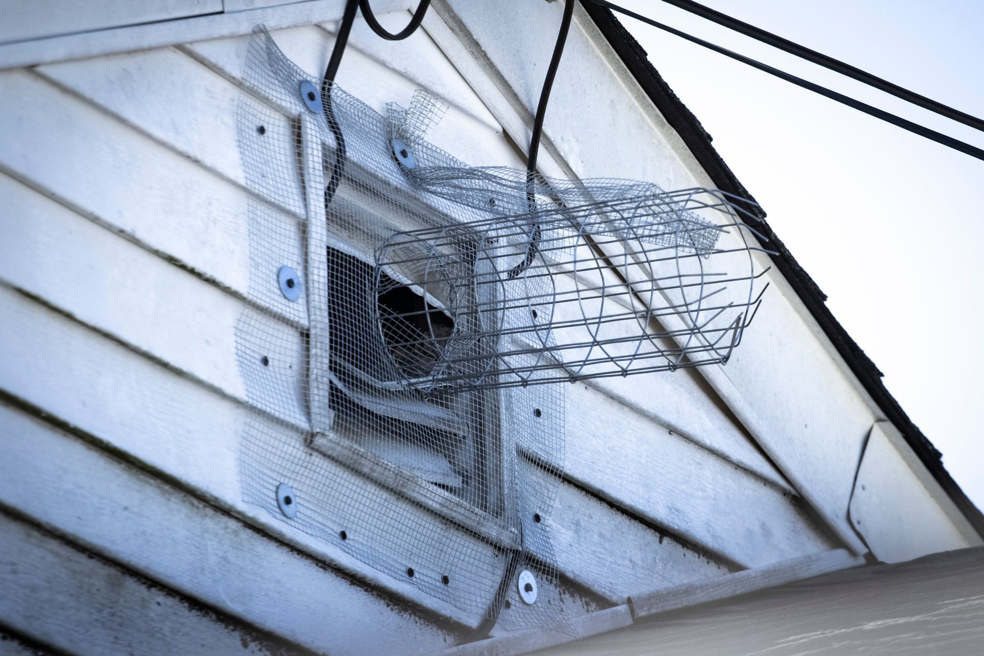 A white building's ventilation vent, covered with metal mesh and a cage, is installed in the siding. A white building's ventilation vent, covered with metal mesh and a cage, is installed in the siding.