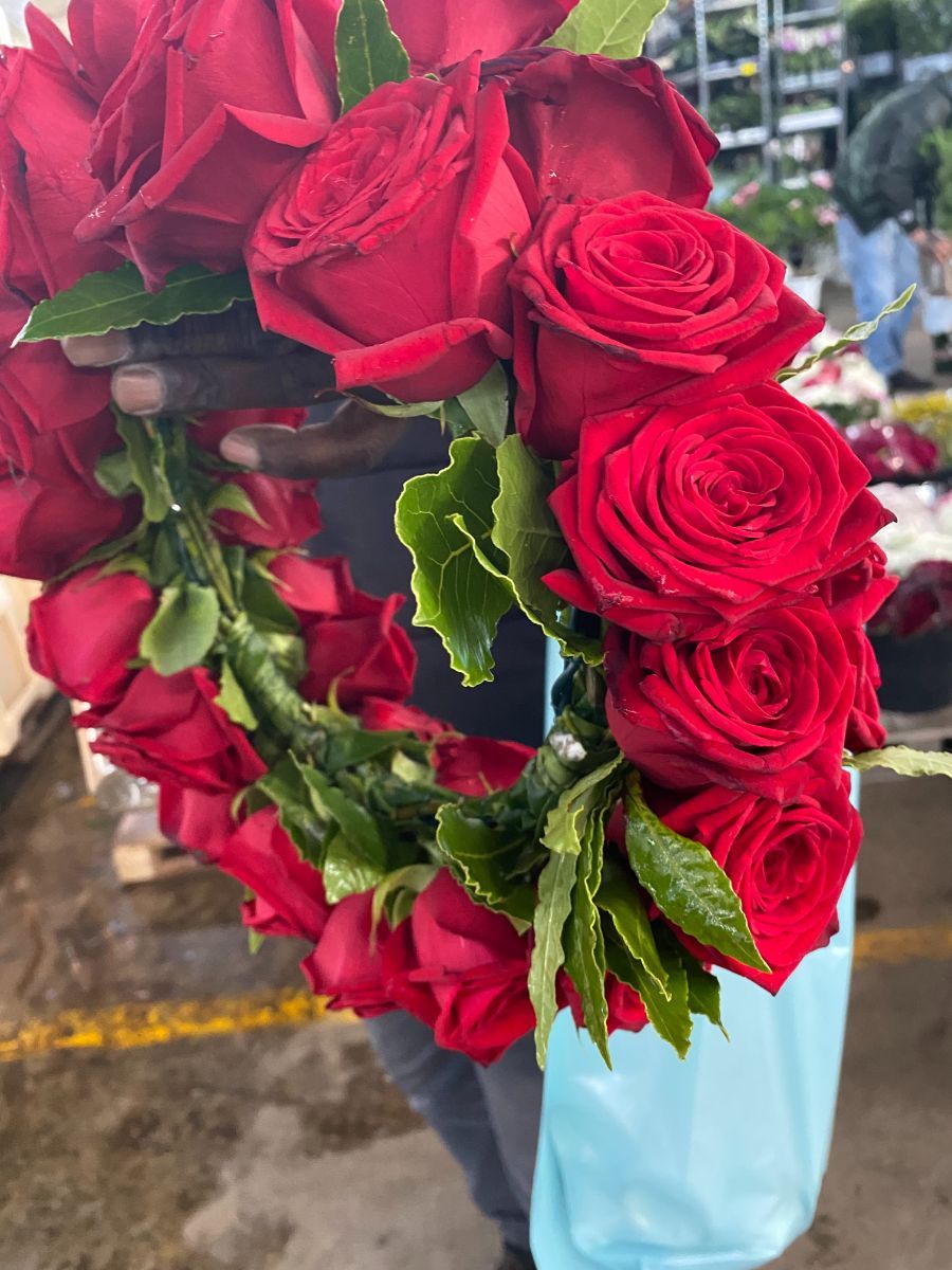 corona d'alloro e rose rosse