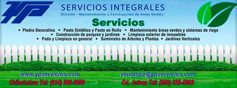 YP Servicios Integrales - CONSTRUCCIÓN DE JARDINES