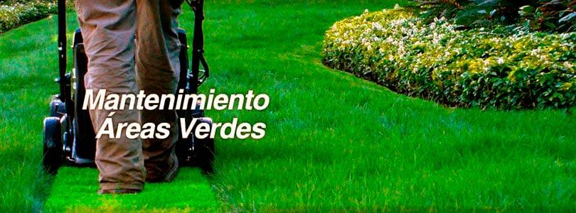 YP Servicios Integrales - PAISAJISMO