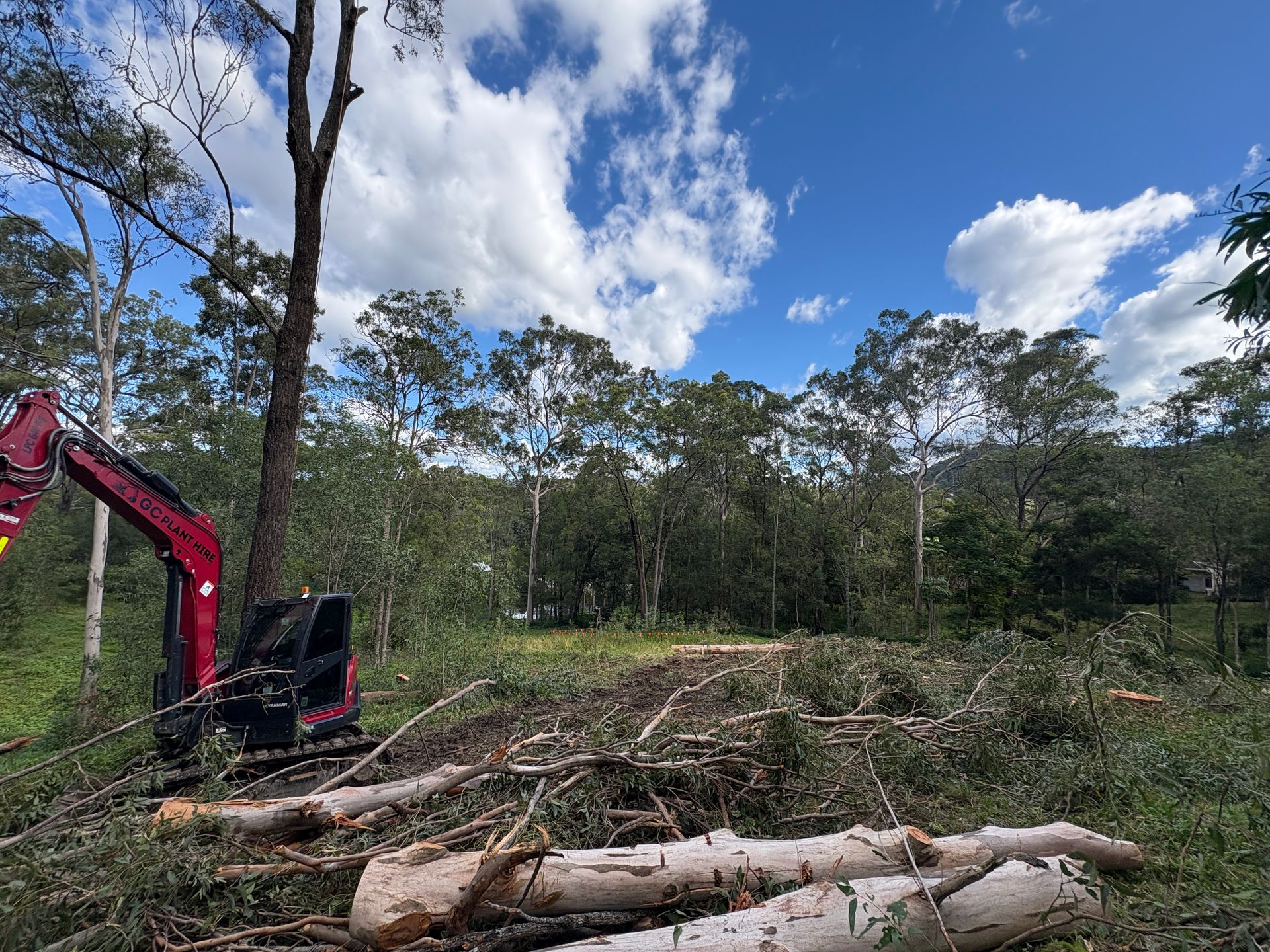 A red excavator is cutting down trees in a field.