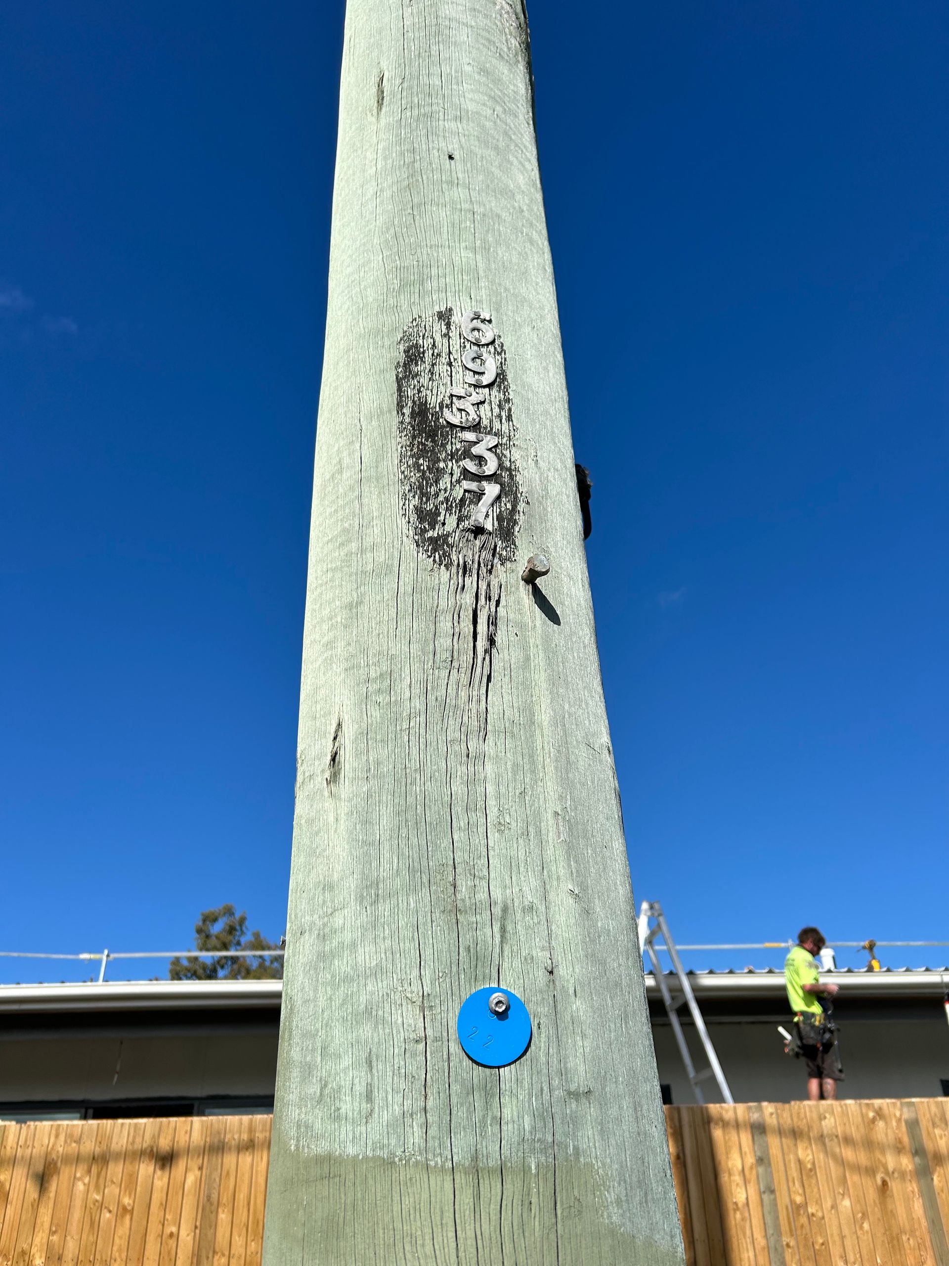A very tall pole with a blue tag on it