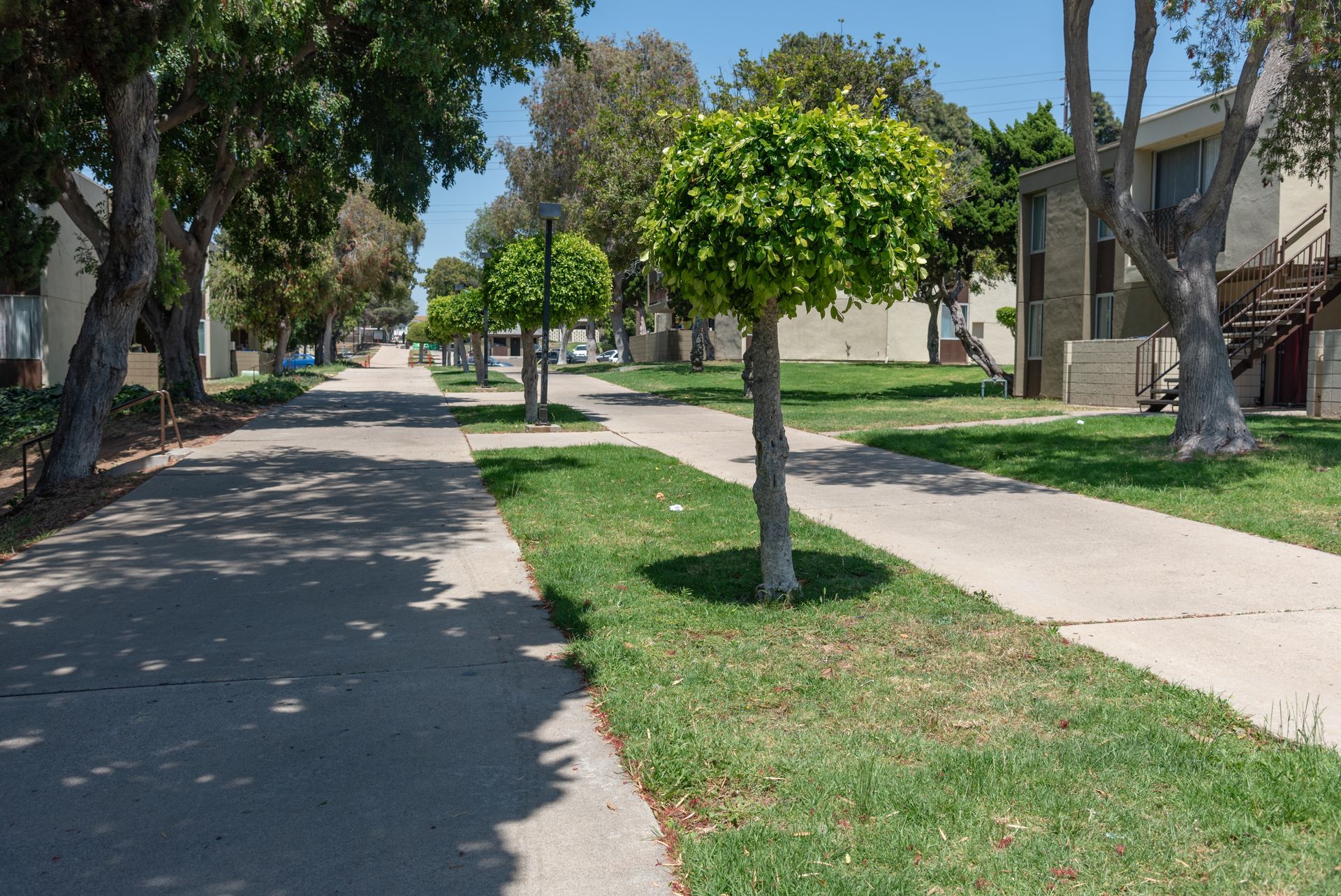 Property grounds with trees