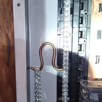Electrical panel with copper grounding conductor shaped into a loop.