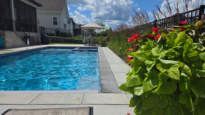 Backyard swimming pool beside a patio, with bright flowers and blue sky overhead