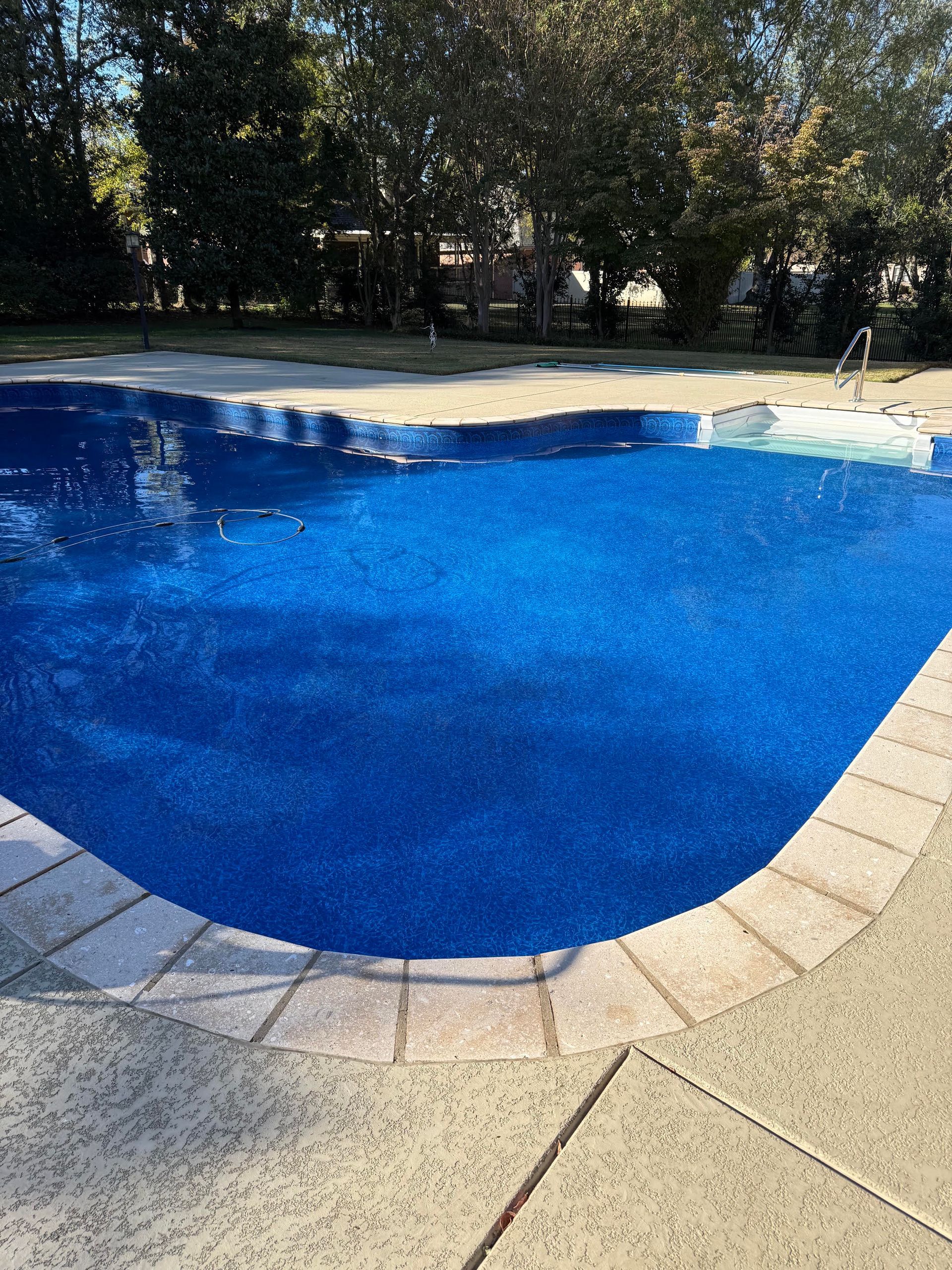 Blue swimming pool with paved edge and trees in the background