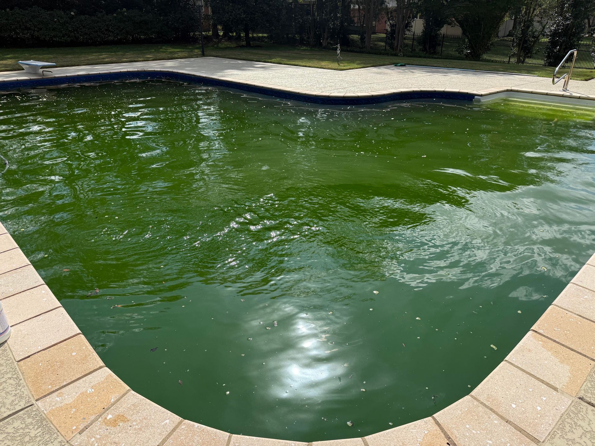 Green swimming pool with a sandy shallow end and tile edging outdoors