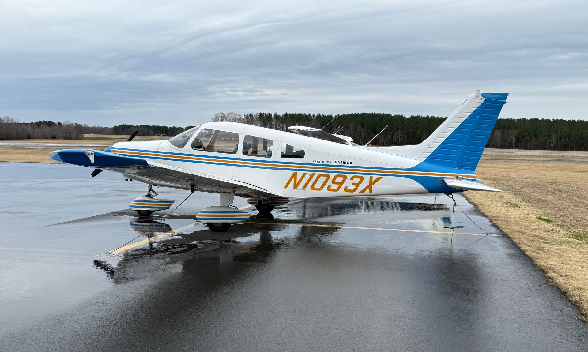 Small blue-and-white airplane parked on wet pavement near grass under a cloudy sky