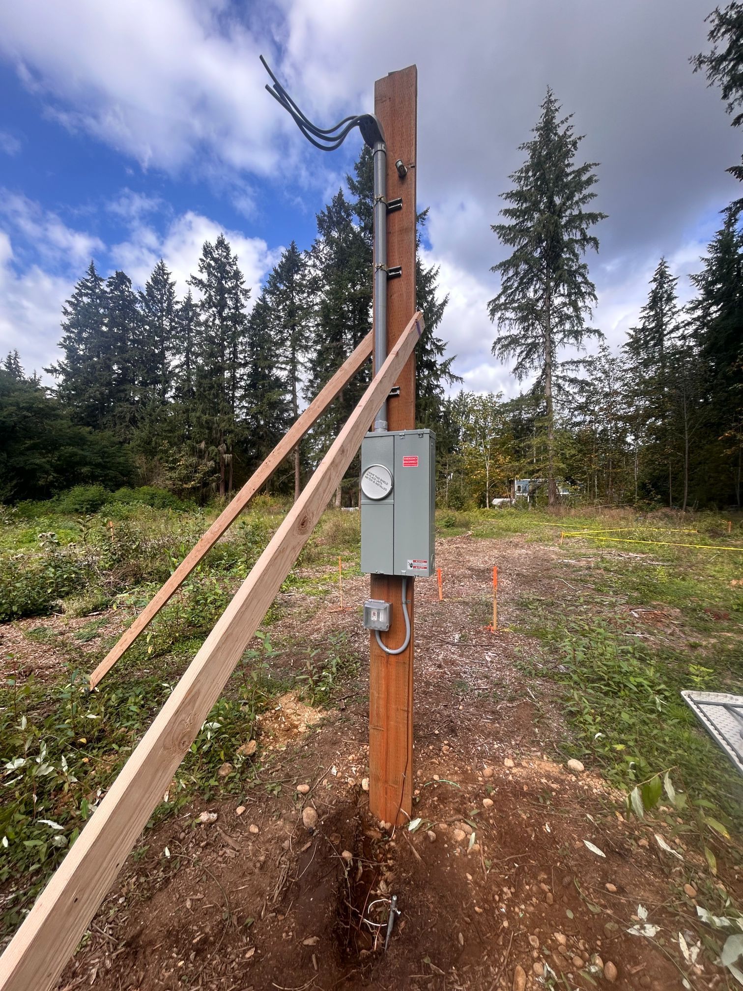 Utility pole with electrical box and guy wires in a wooded clearing under a cloudy sky