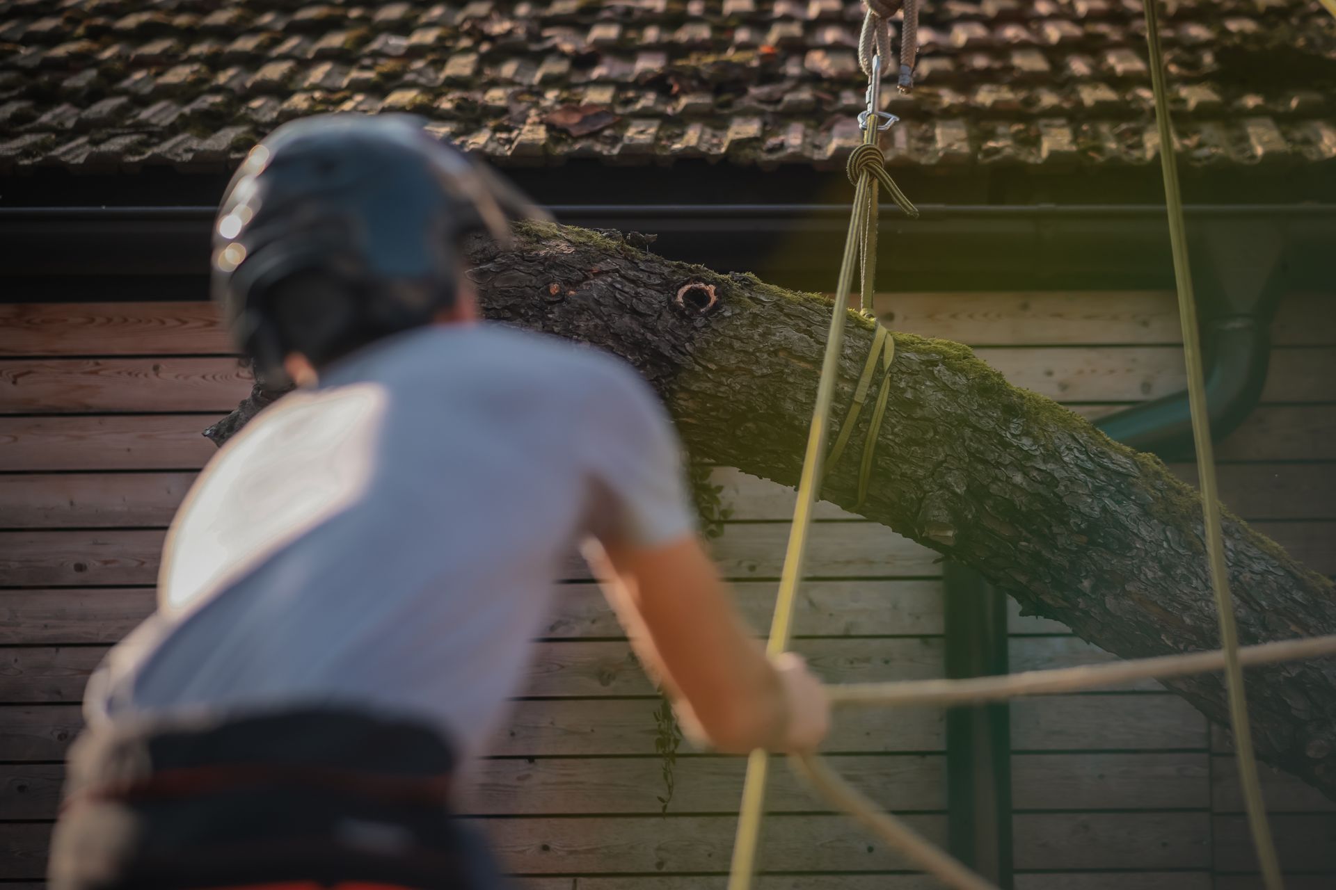Person pulling rope attached to large log near building