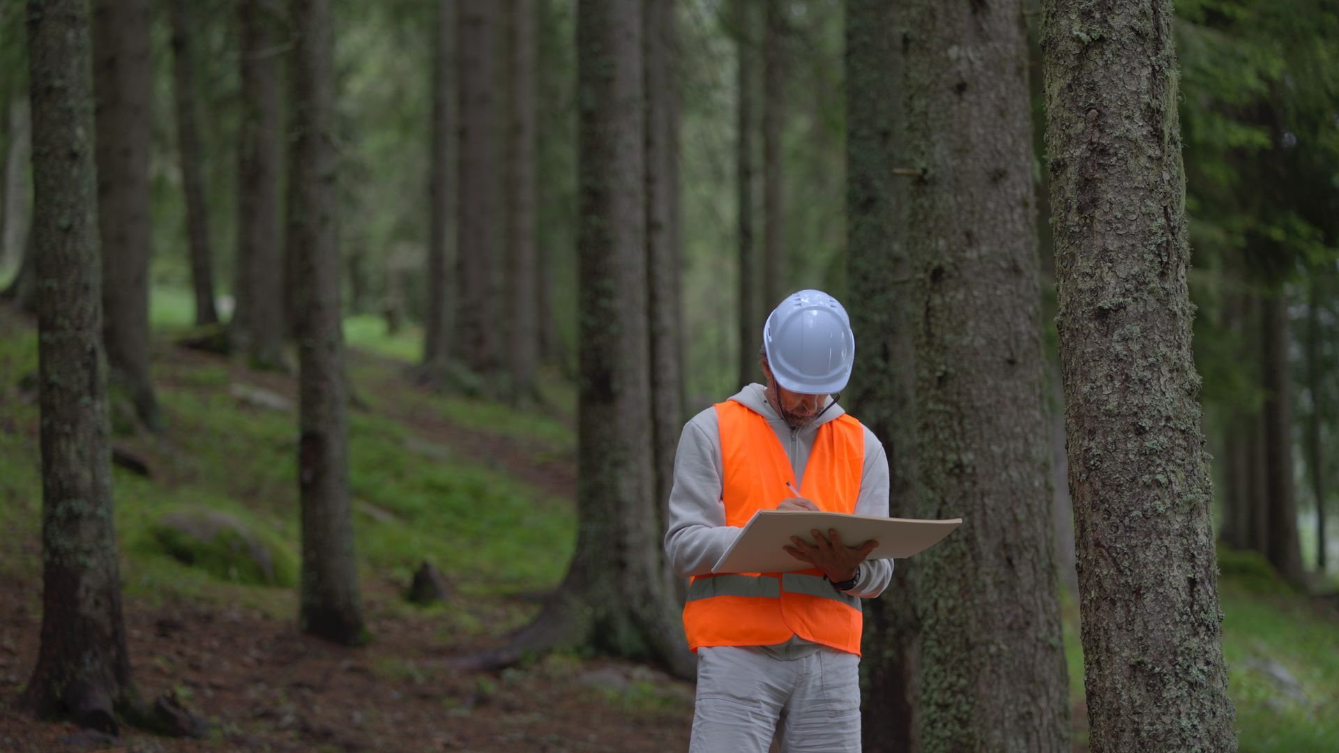 Man in orange vest and hard hat, taking notes in a forest, trees in the background Man in orange vest and hard hat, taking notes in a forest, trees in the background