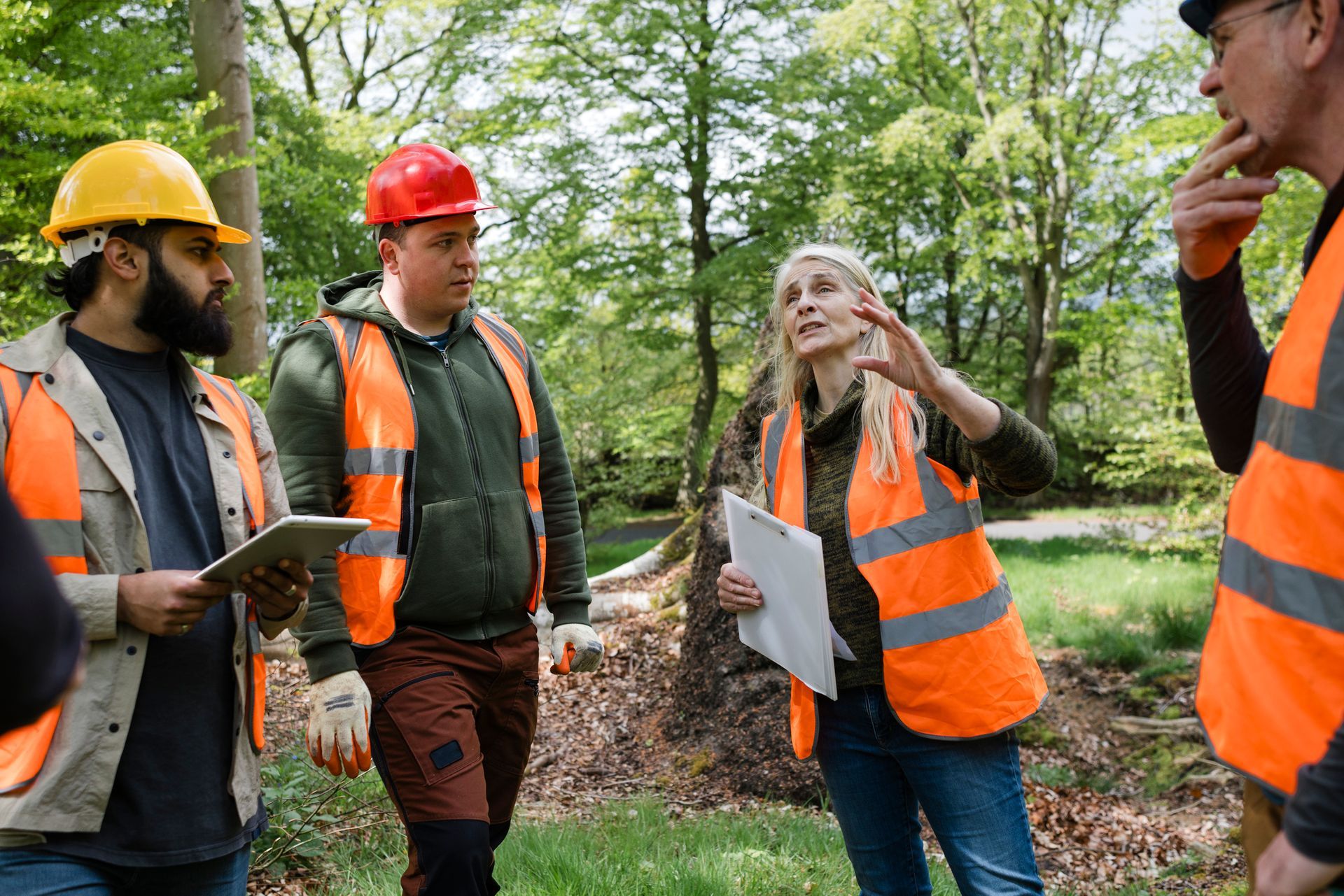 Group of people in forest wearing hard hats and safety vests; one points and talks while holding papers Group of people in forest wearing hard hats and safety vests; one points and talks while holding papers