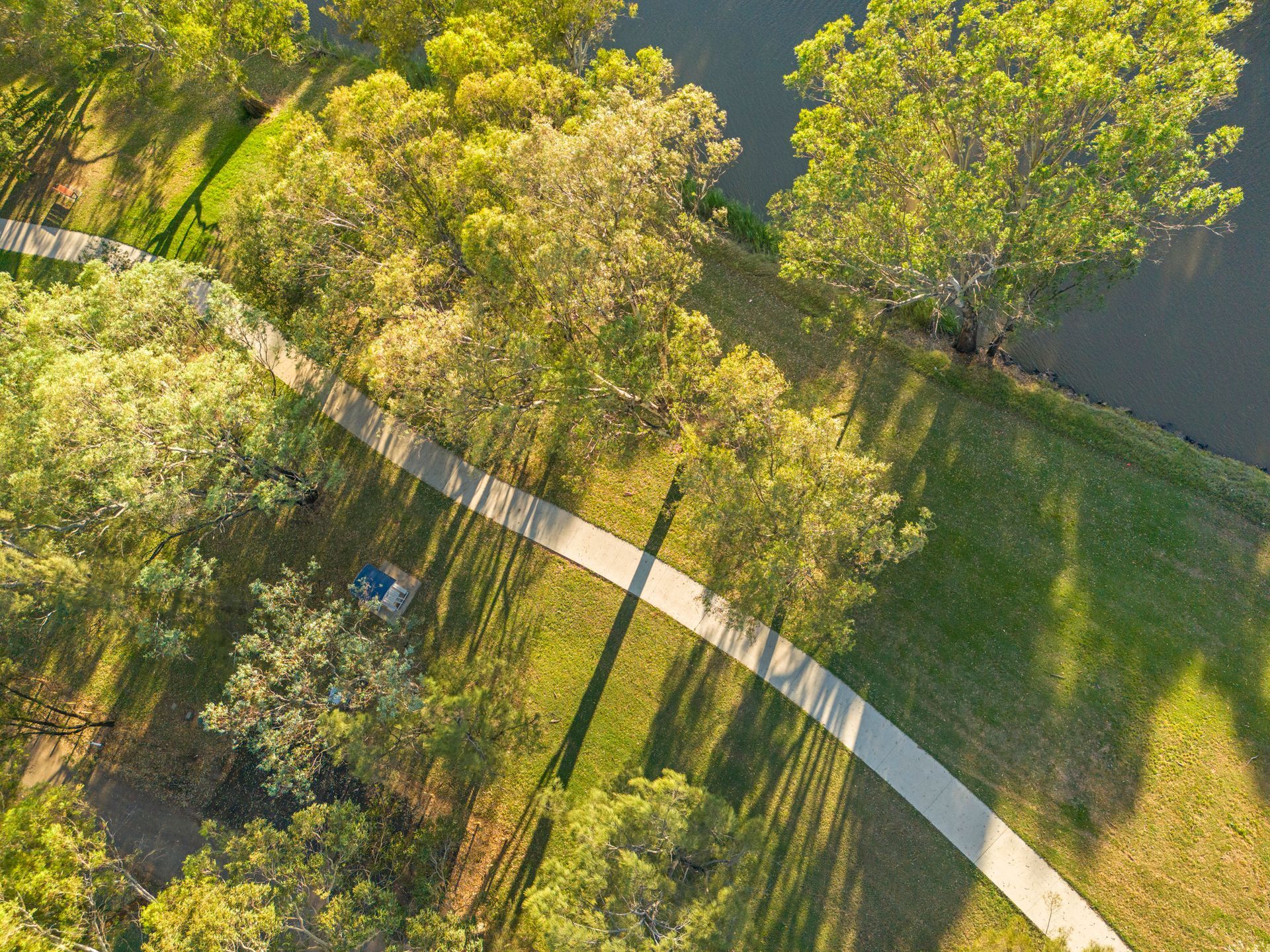 Overhead view of a concrete path winding through a park with trees and a dark body of water Overhead view of a concrete path winding through a park with trees and a dark body of water