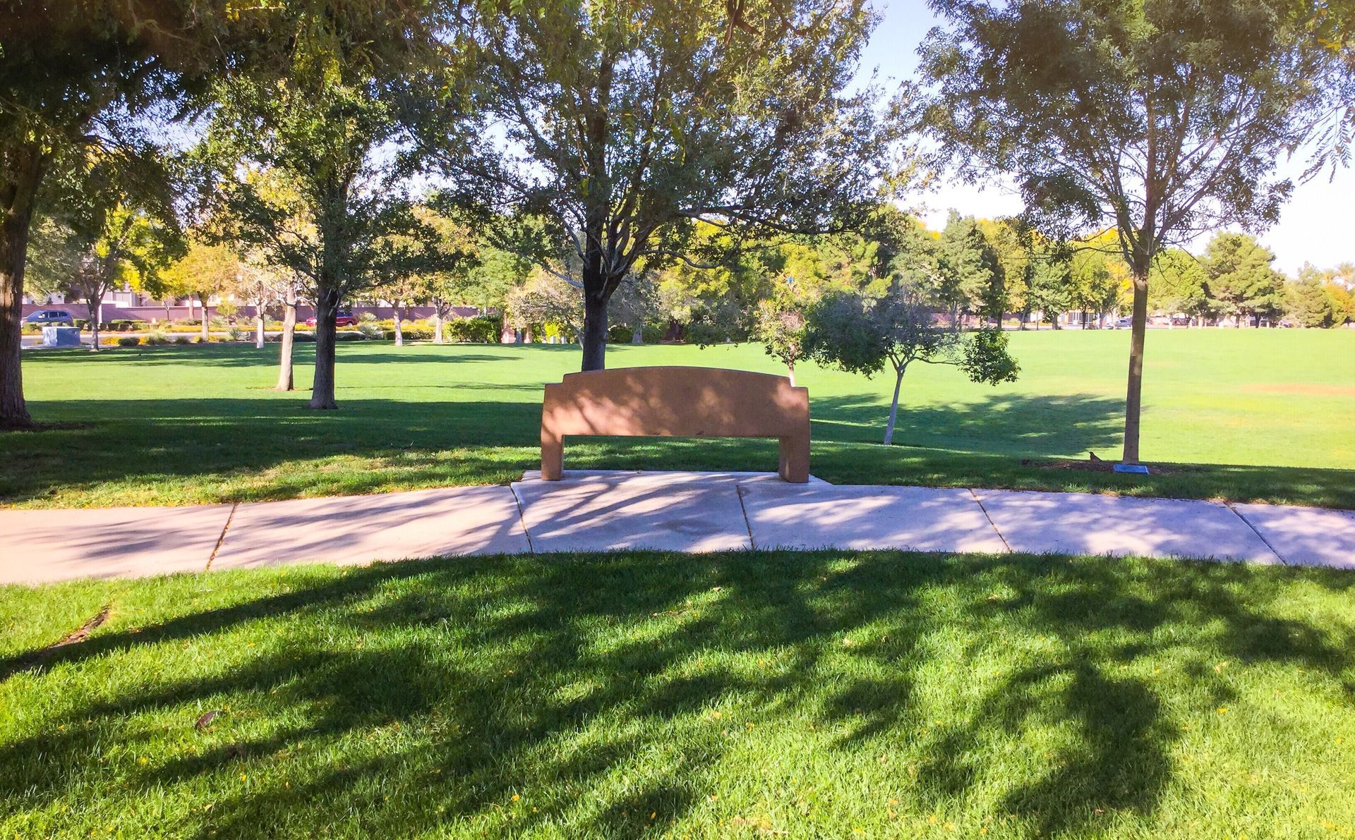 Bench on a paved path, surrounded by grass and trees under a sunny sky
