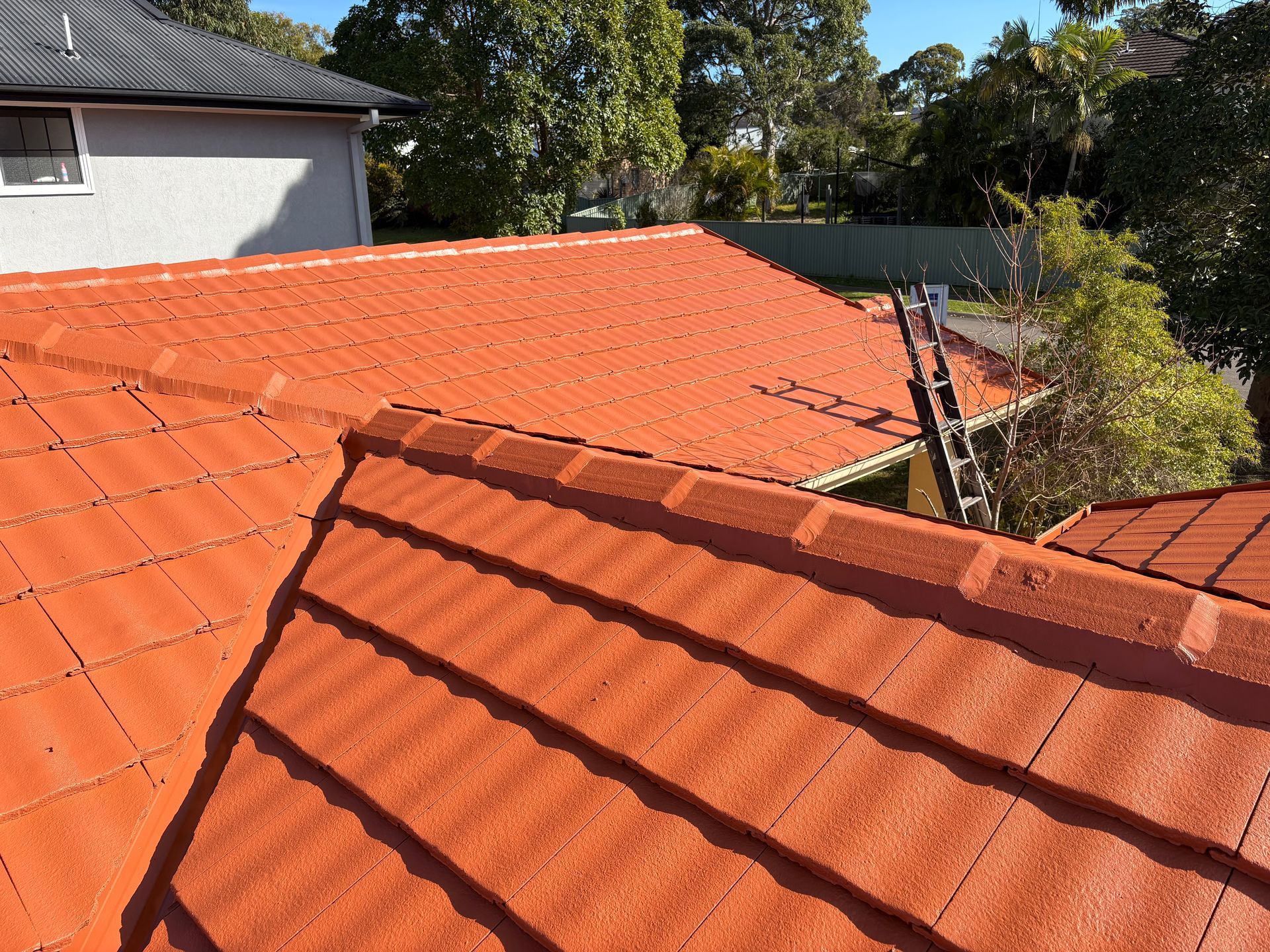 Orange tiled rooftops with a roof ladder and trees in the background — In-Time Roofing In Newcastle, NSW