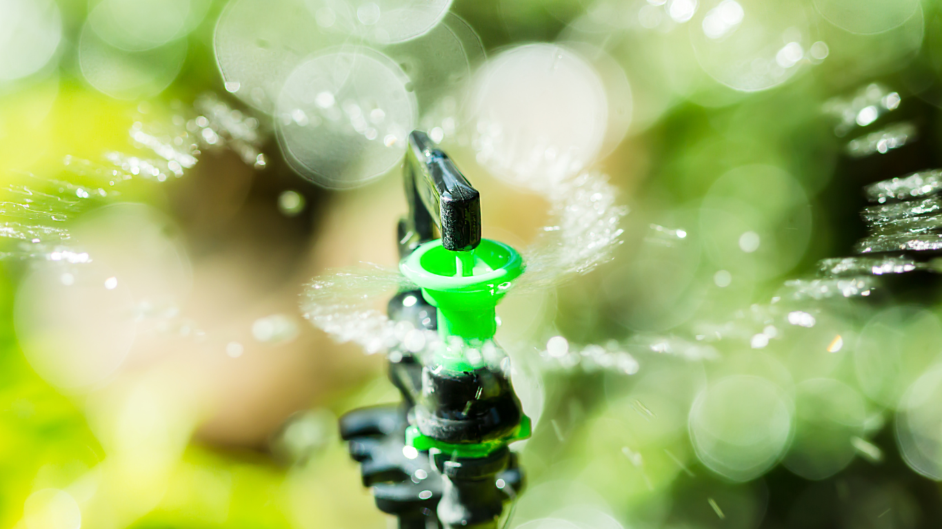 A close up of a sprinkler spraying water on a plant.