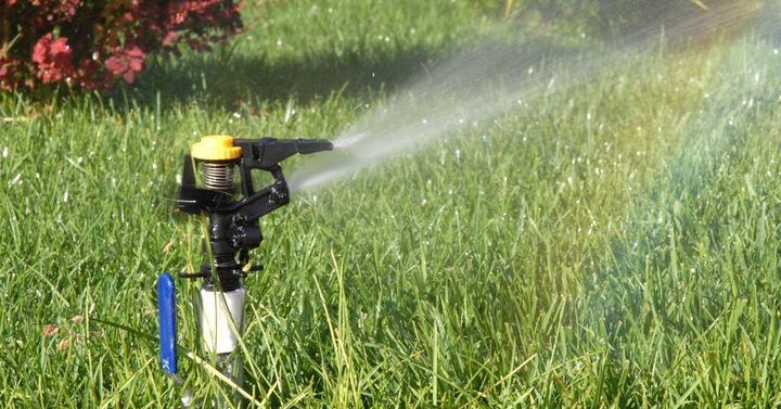 A sprinkler is spraying water on a lush green lawn.