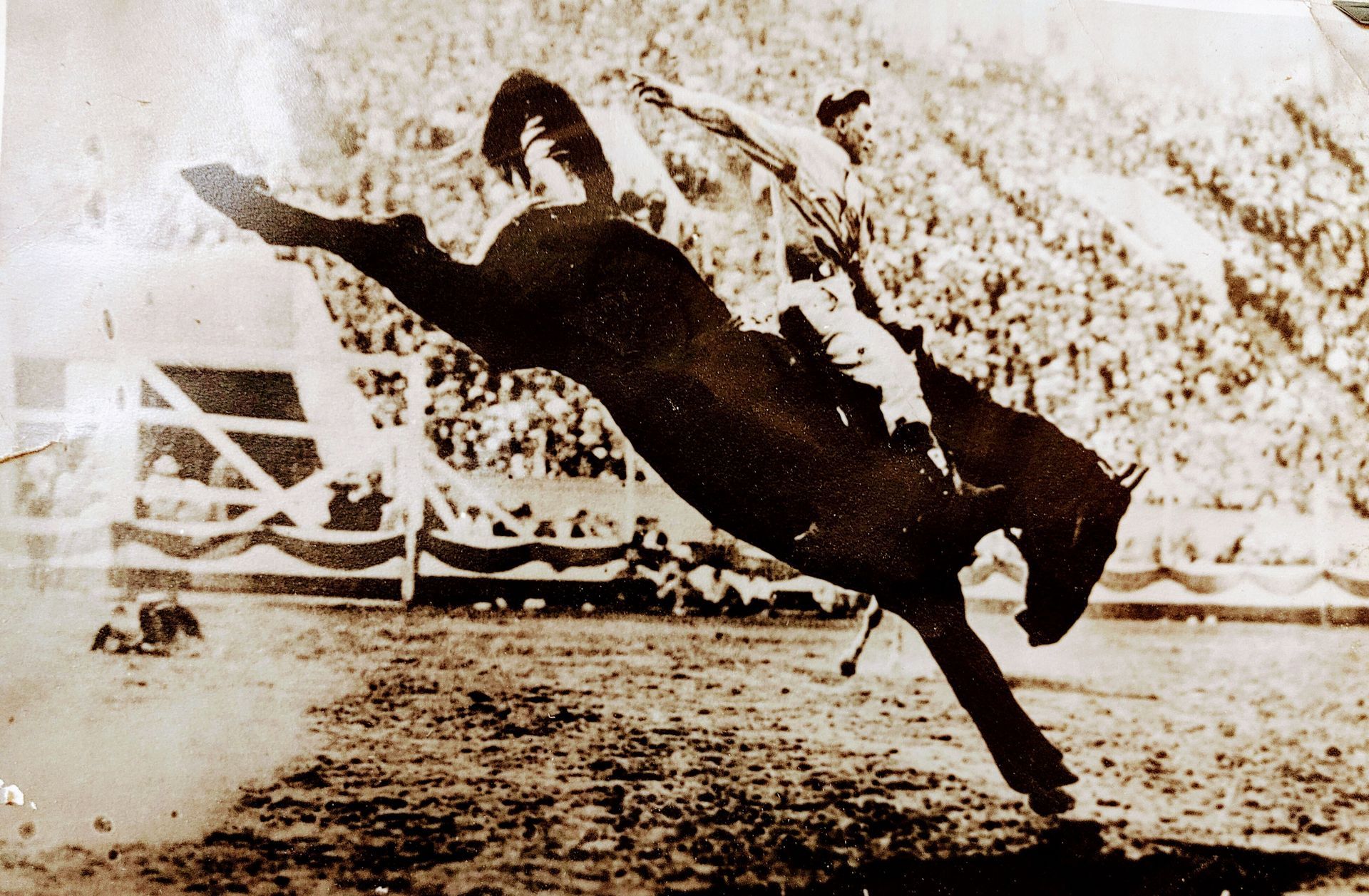Bucking horse and rider in a sepia-toned rodeo scene