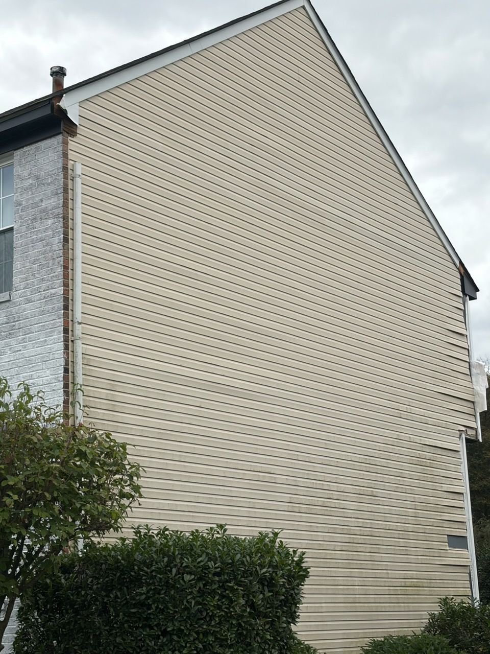 Beige siding on the side of a building, a brick section, a small bush at the bottom.