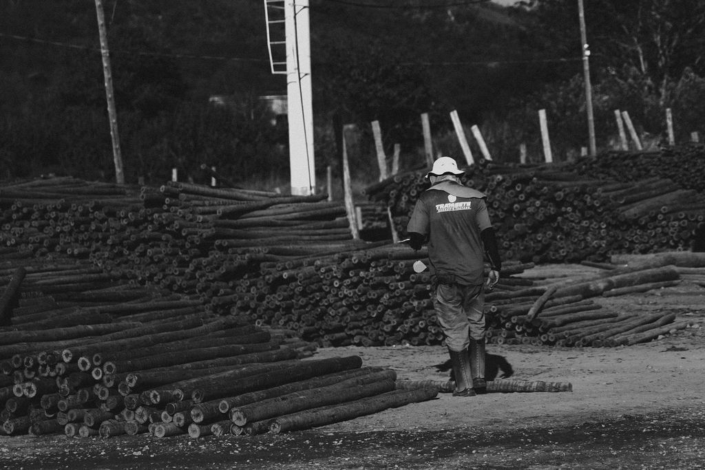 Um homem está caminhando em frente a uma pilha de toras.
