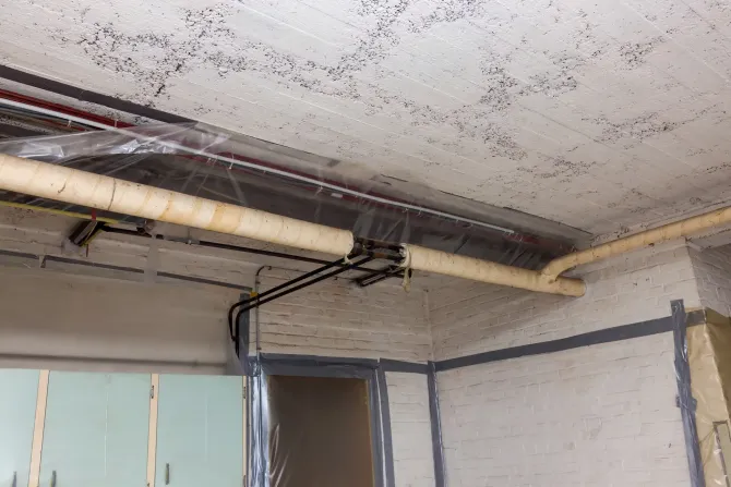 A room with a lot of pipes hanging from the ceiling