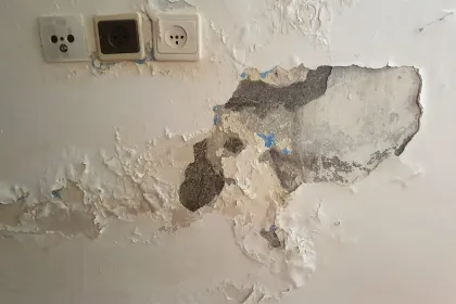 Wall Water Damage Restoration