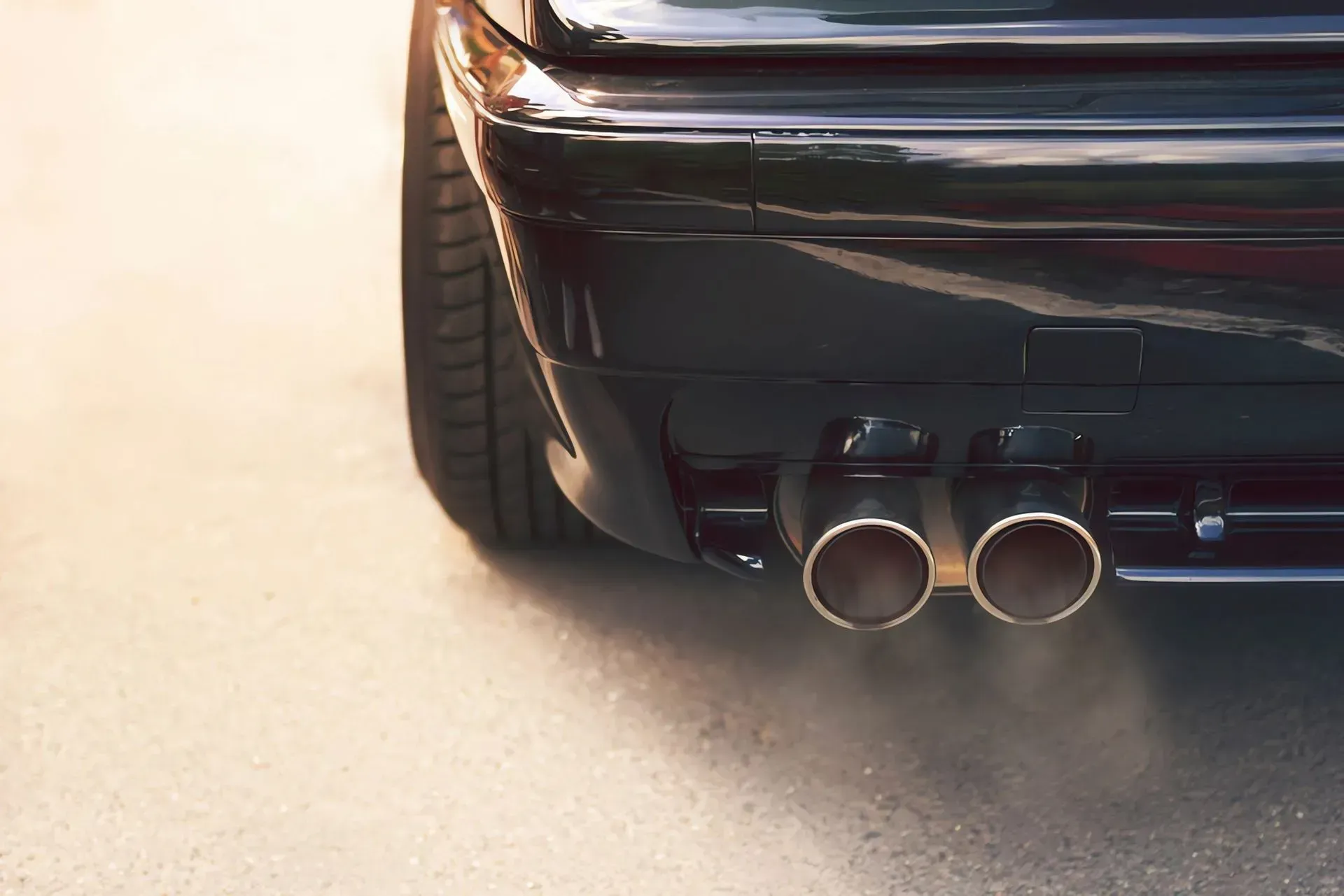 Rear View of a Black Car With Dual Exhaust Pipes — Carline Automotive and Exhausts in Belmont, NSW