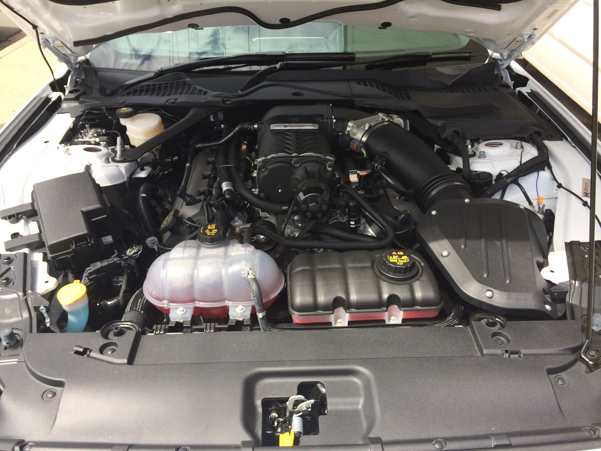 White Ford Mustang engine bay, showcasing the engine's components.