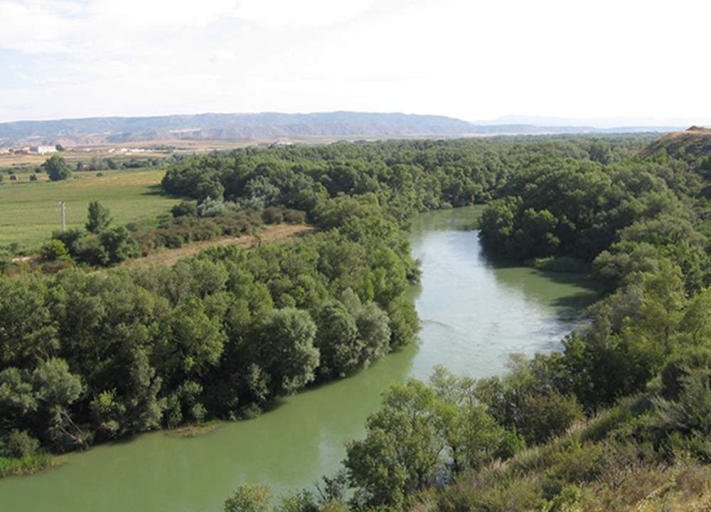 Rio Aragón