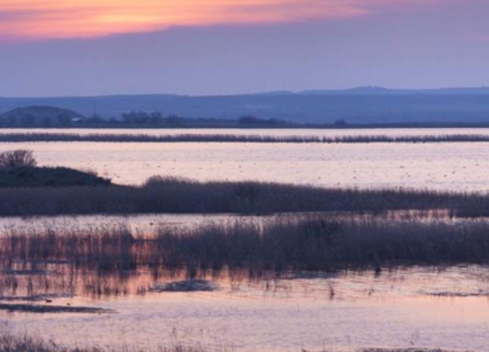 Laguna de Pitillas