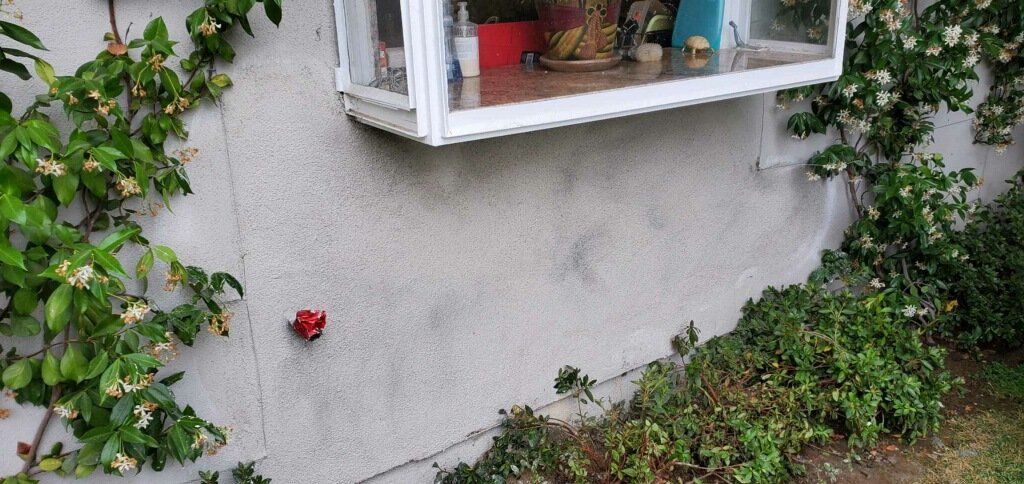 A window on the side of a building with plants growing out of it
