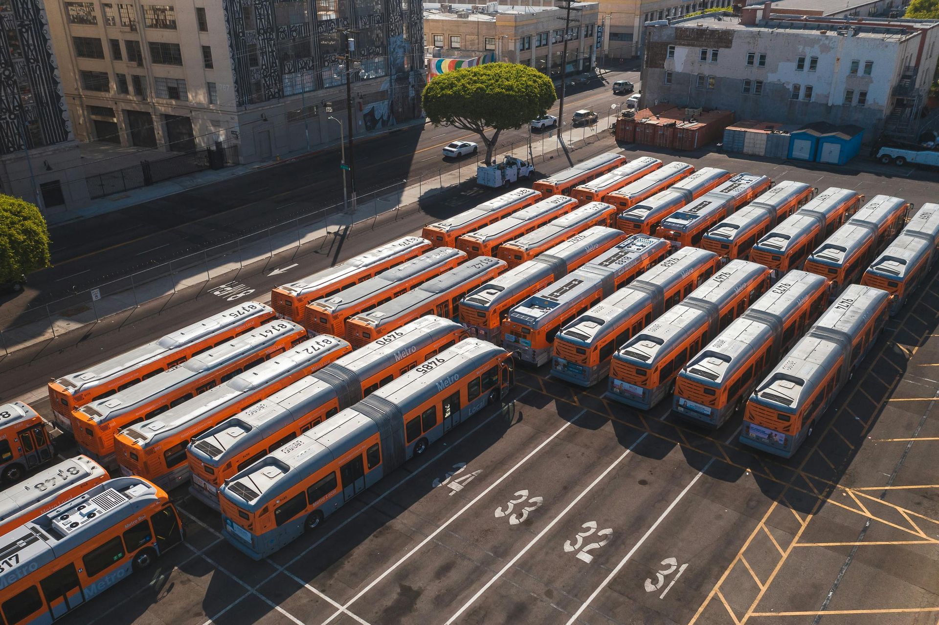 Ônibus estacionados em um estacionamento organizado. Prédios e árvores ao fundo. Luz do dia intensa