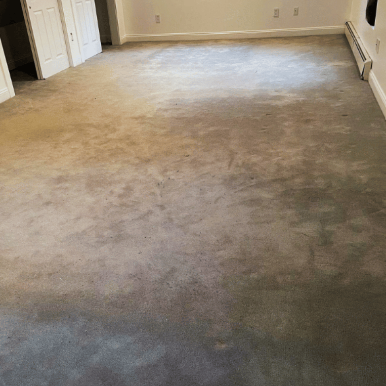before carpet cleaning photo taken by Janitec team in Okotoks