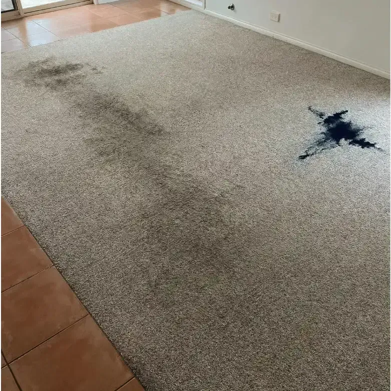 Carpet traffic lane before cleaning in Calgary