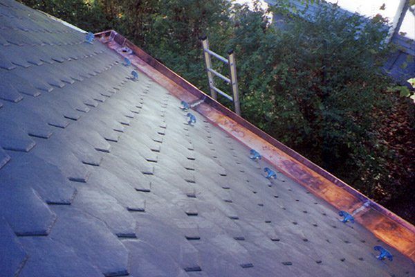 Roof and Gutter Services