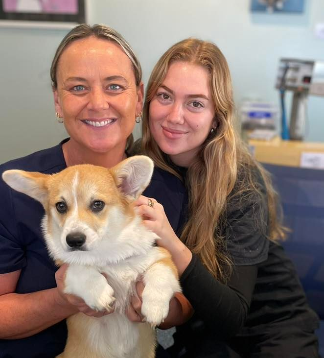 Two Women With Pembroke Welsh Corgi Indoors — Animalia Health Group Pty Ltd in Suffolk Park, NSW