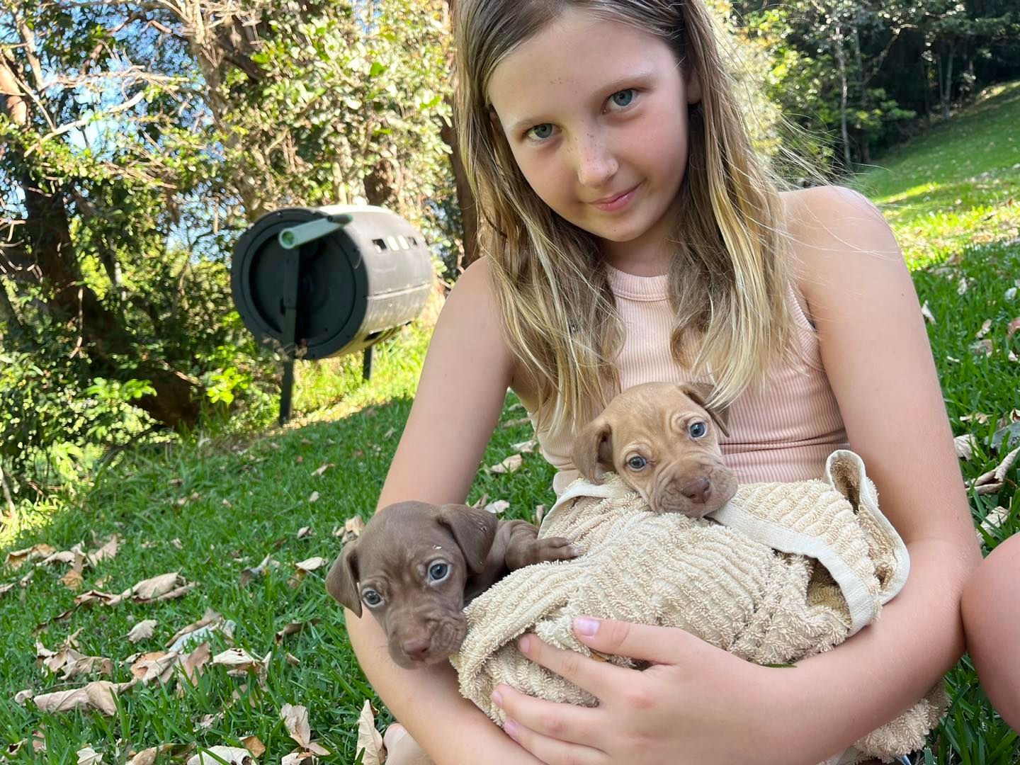 Girl Holding Two Brown Puppies On Sunny Lawn — Animalia Health Group Pty Ltd in Suffolk Park, NSW