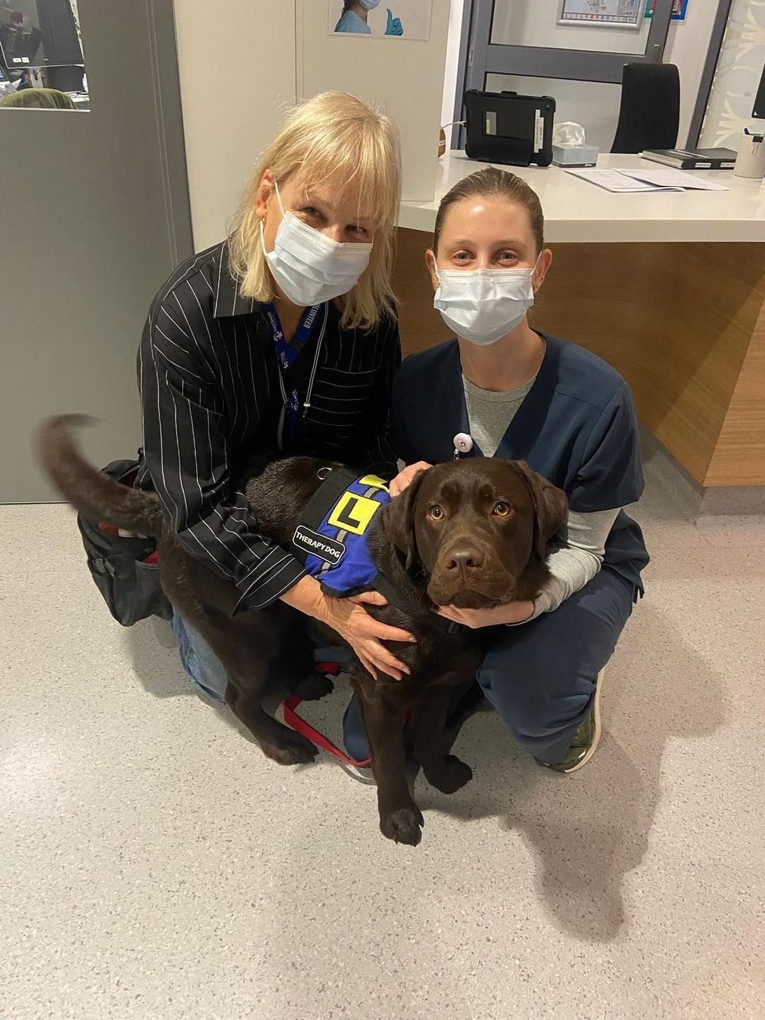 Two Women With Brown Labrador Indoors — Animalia Health Group Pty Ltd in Byron Bay, NSW