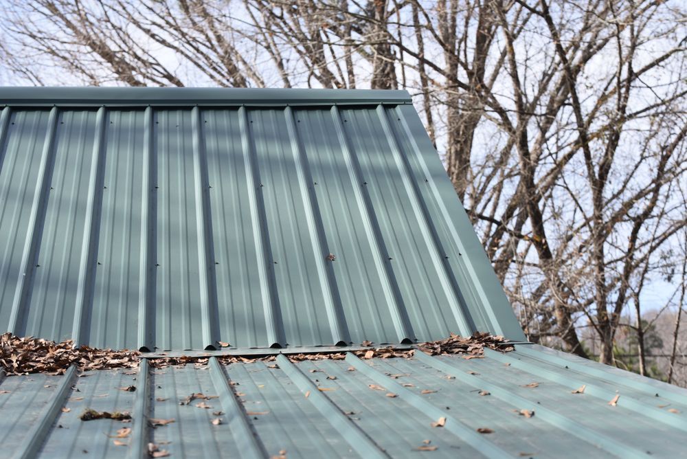 Green Metal Roof With Leaves and Debris, Outdoors Near Bare Trees — Ace1 Metal Roofing in Port Macquarie, NSW