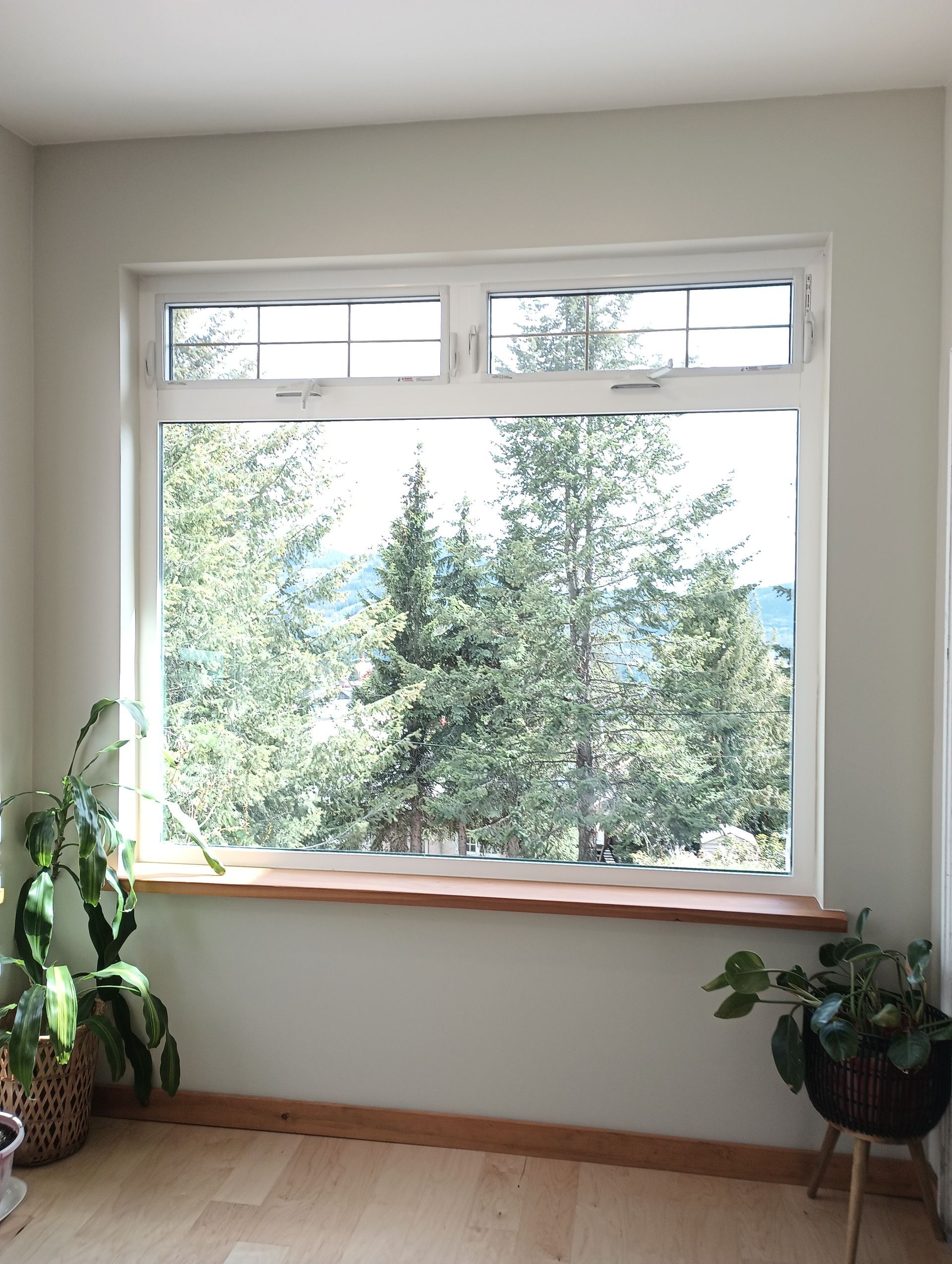 drywall, trim