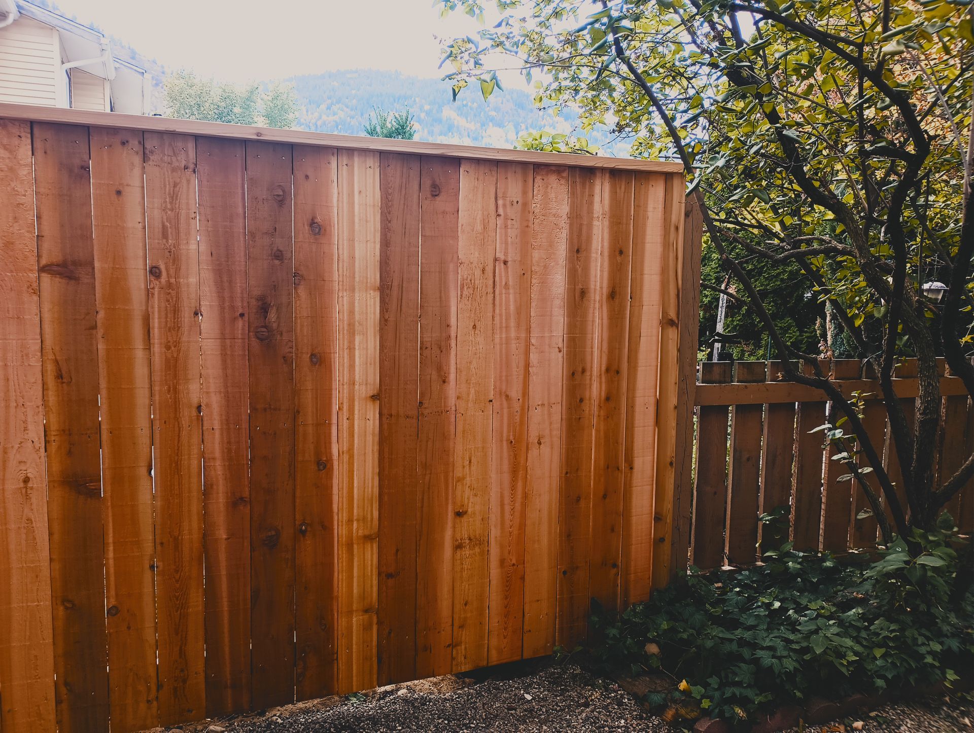 Fence Repair