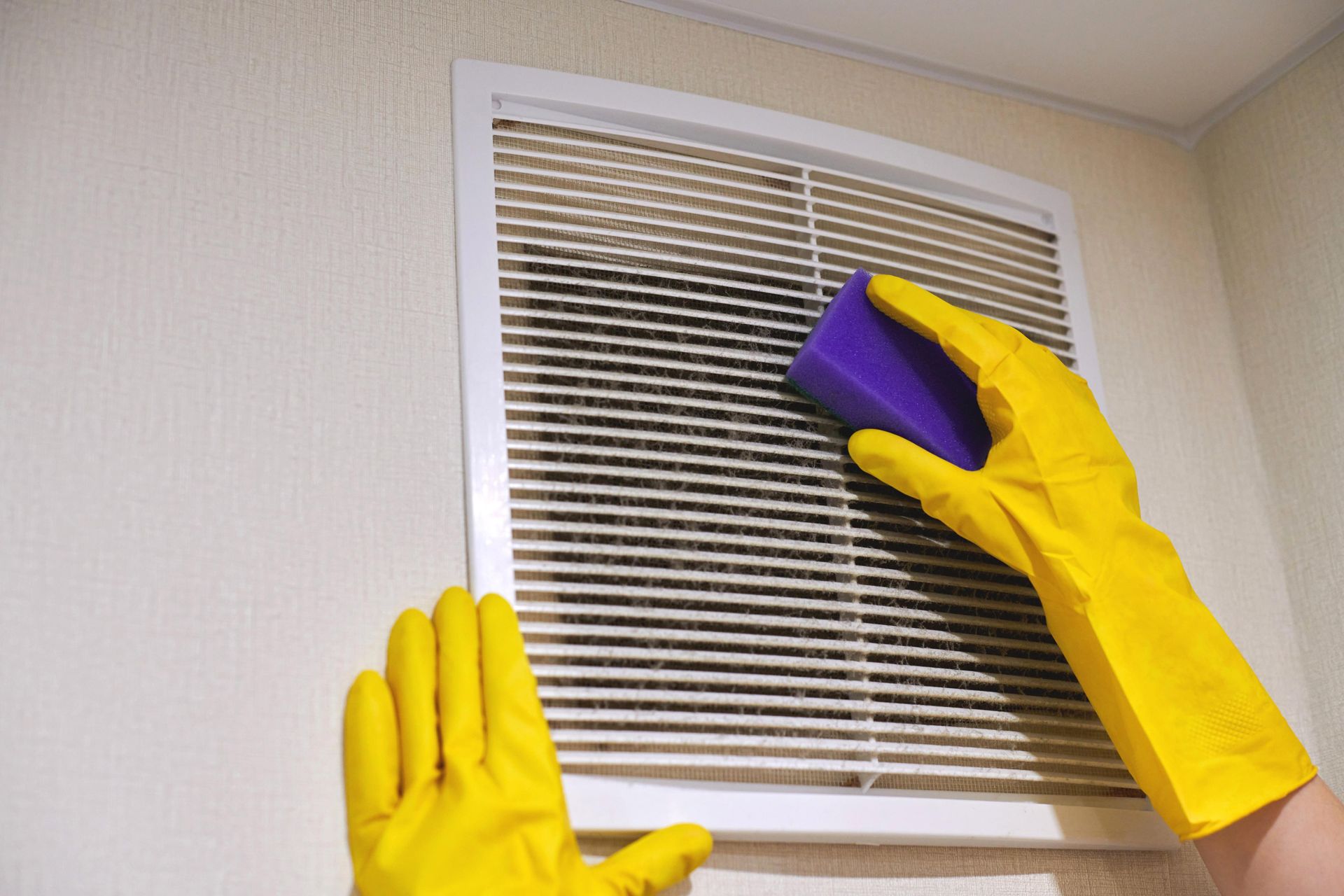 Yellow-gloved hands cleaning a white wall vent with a purple sponge