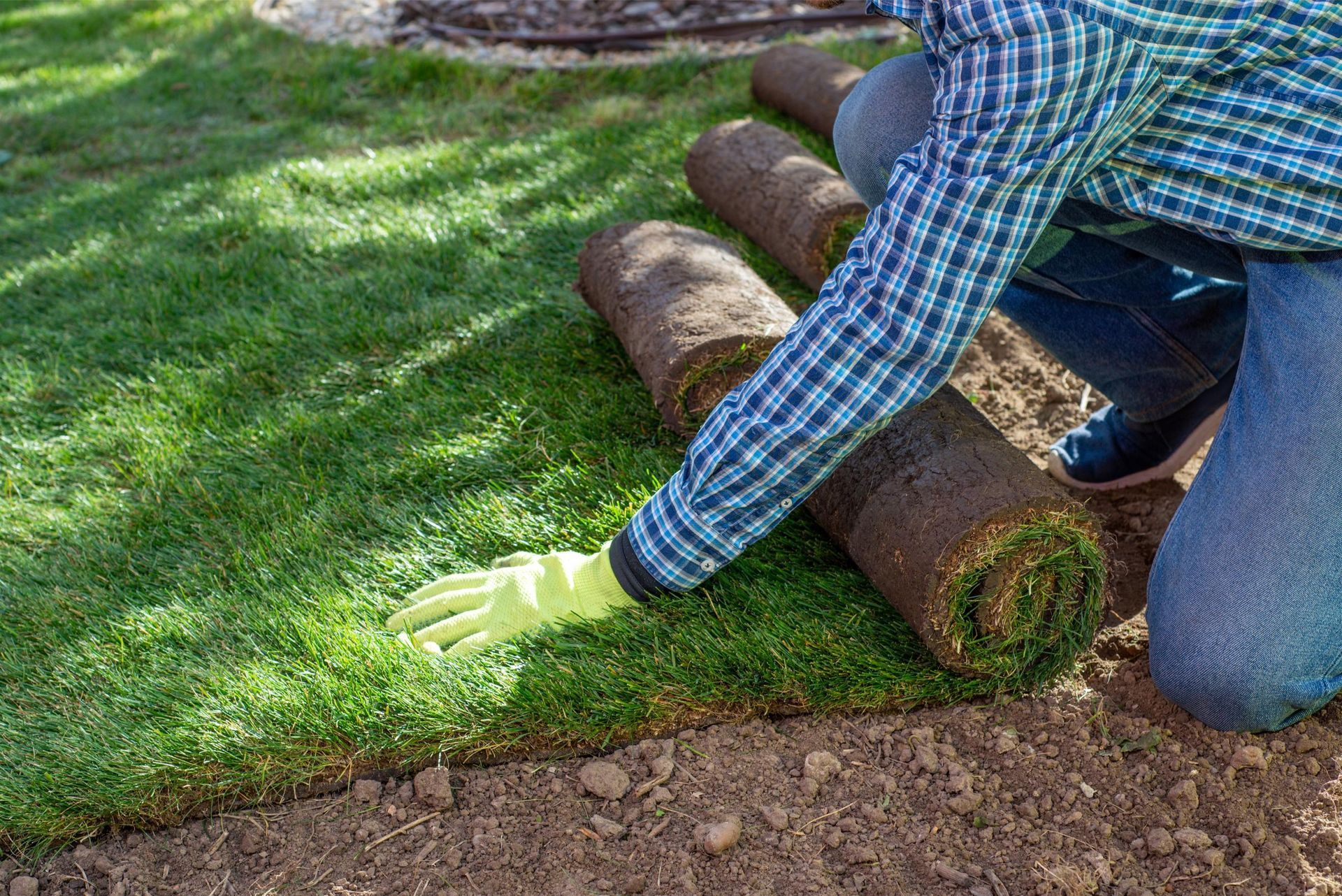 Person rolling out a grass sod mat over soil in a yard, wearing gloves and jeans.