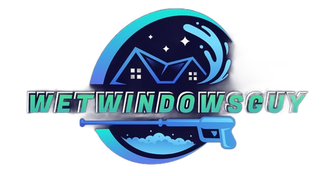 Wet Windows Guy Wet Windows Guy