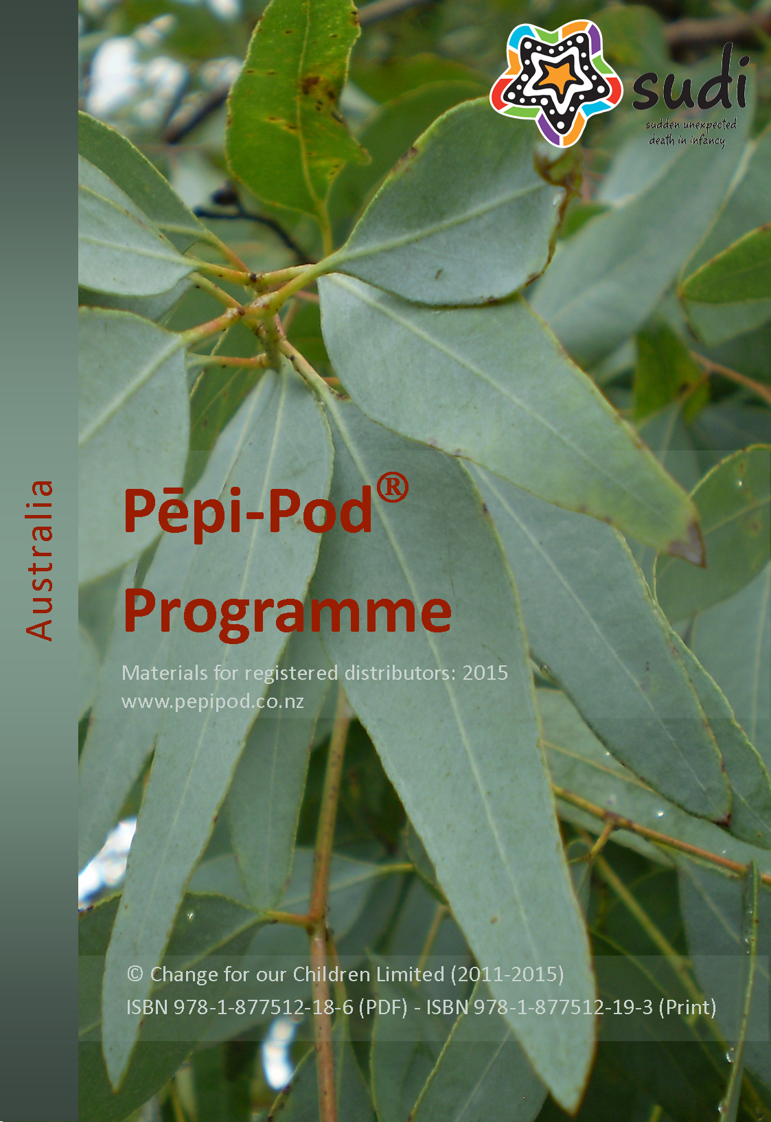 parent education pregnancy child baby innovation social SPO social