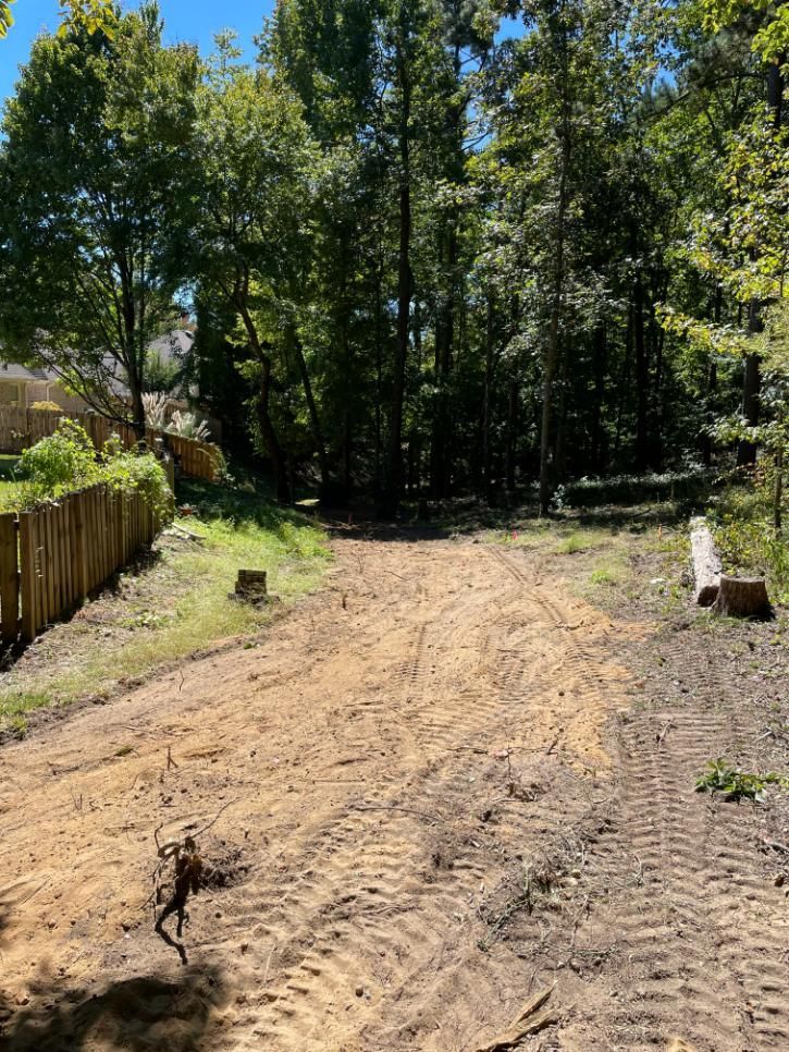 Dirt path leading into a wooded area, with tree stumps and a log.