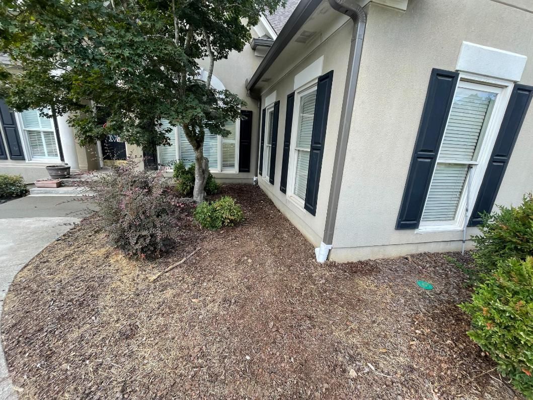 Brown mulch bed with shrubs next to a tan house with black shutters.