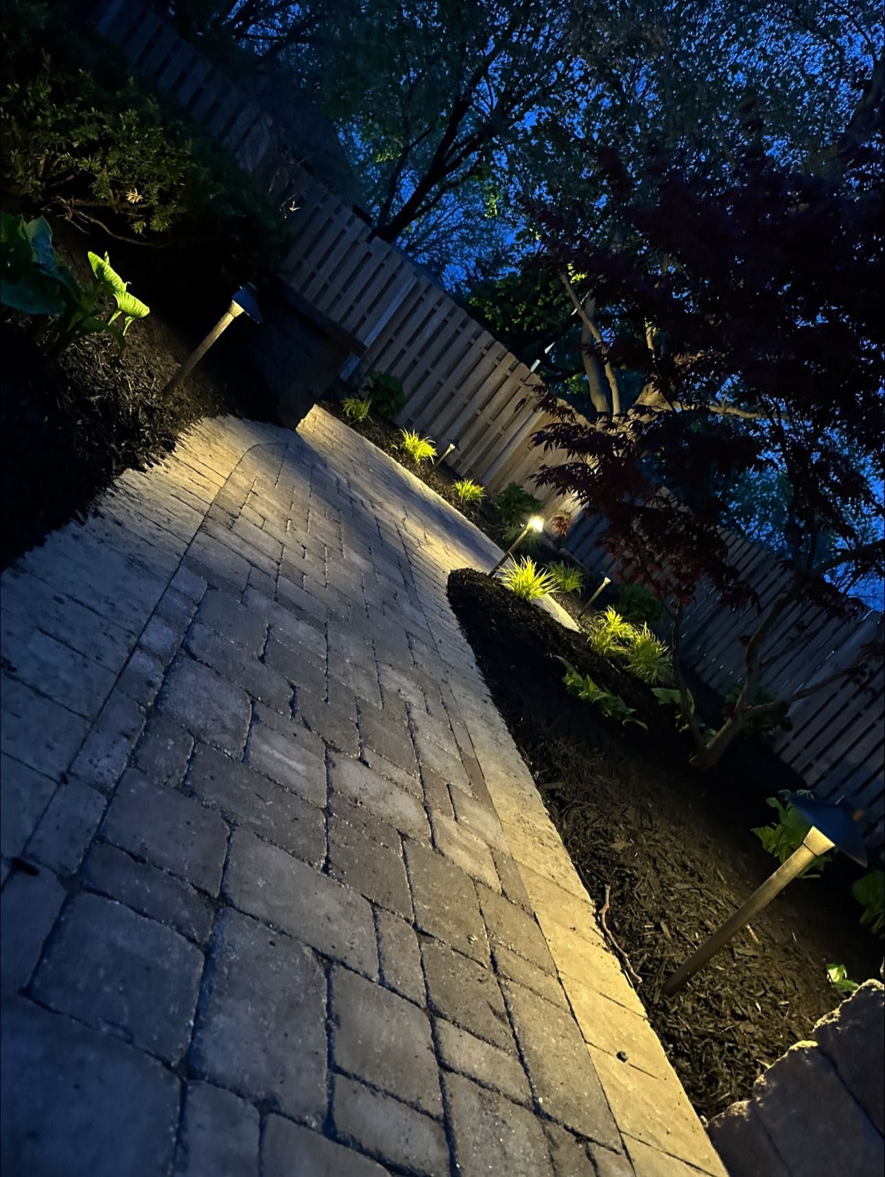 A brick walkway is lit up at night in a backyard.