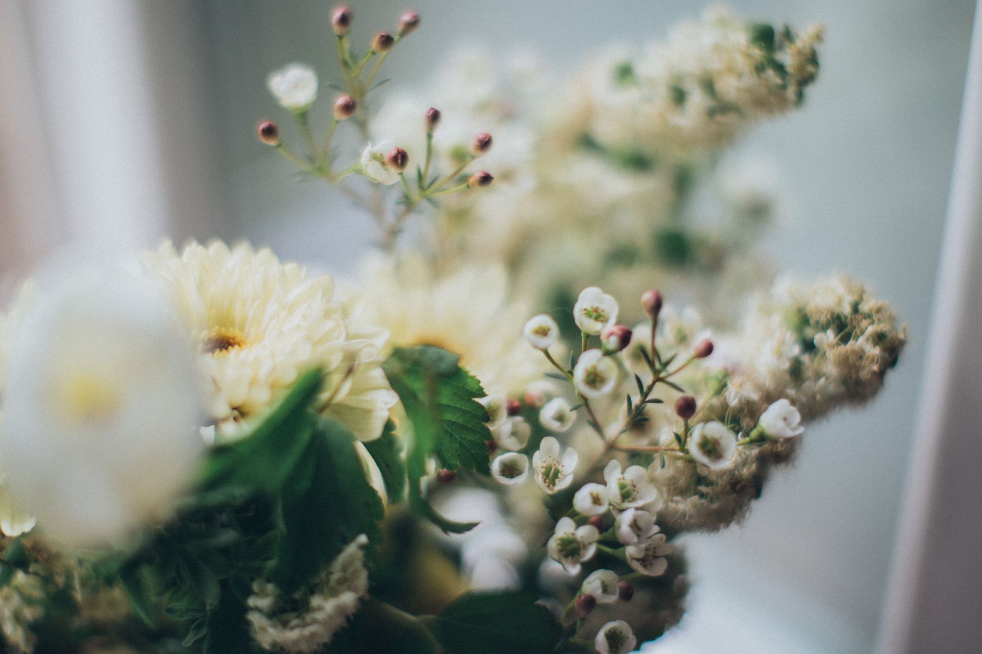 Send Flowers