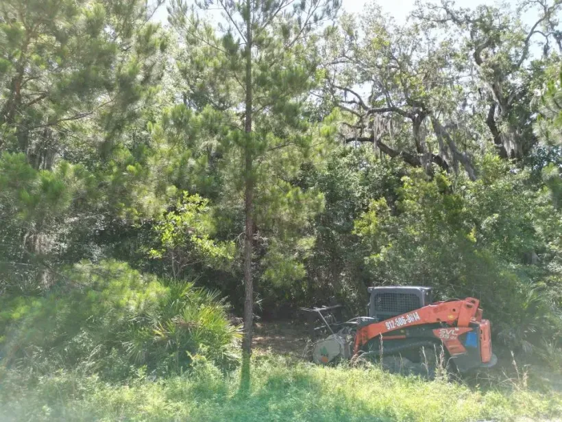 Orange excavator working in dense green brush beside trees